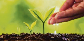 “DAI SALICI”, dove la natura genera benessere. Quando il “prodotto miracoloso” non basta