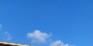 Inglese e mensa gratuita: novità alla primaria di Soave