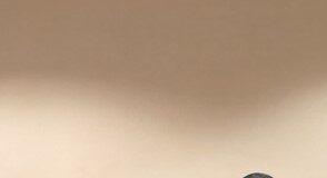 Dopo 40 anni di servizio nell’Arma il luogotenente Diego Romani va in pensione