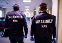 Carabinieri del Nas di Cremona: un anno di multe e sequestri da record nel Mantovano
