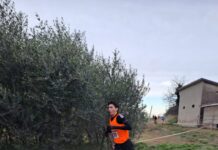 Atletica – Libertas, Oscar Torresani terzo tra gli Allievi al Cross di Bedizzole