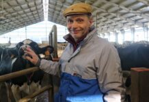 Cortesi: «Senza innovazione non c’è futuro»