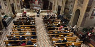 “Tra Pive e Pastorali” , concerto con organo e cornamusa a Castel d’Ario biondo pastori_3830531