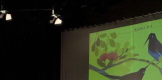 Mozart apre gli Aperitivi d’arte 2026 bruno sebastiani_3835655