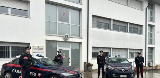 Schiamazzi in casa, arrivano i Carabinieri e la moglie del proprietario perde la testa: arrestata