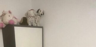 Asola – Sociale e associazioni nella nuova Casa della Solidarietà