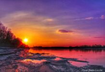 Marengo – La natura nelle sue molteplici forme attraverso le immagini di Paola Lucchi drhhrdjrh