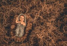 Questa mattina la passeggiata tra i Presepi di Marmirolo