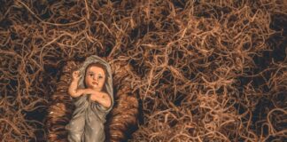 Questa mattina la passeggiata tra i Presepi di Marmirolo