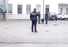 Blitz dei carabinieri al liceo. Fermato uno studente 19enne