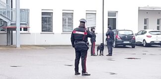 Blitz dei carabinieri al liceo. Fermato uno studente 19enne