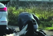 Accoltellò la ex, condannato a sette anni e quattro mesi