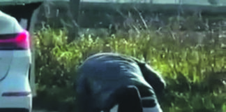 Accoltellò la ex, condannato a sette anni e quattro mesi