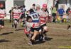 Rugby Serie C – Girone Promozione: il Mantova si arrende al Casalmaggiore (12-9)