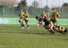 Rugby Coppa Italia – Viadana getta via la finale allo scadere: passa il Petrarca (33-29)