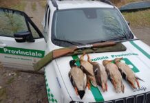 Controlli dal Po agli affluenti: elevate 24 sanzioni