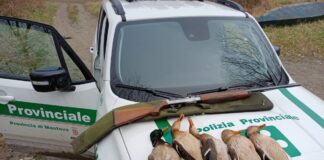 Controlli dal Po agli affluenti: elevate 24 sanzioni