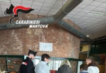 Careneze igieniche, irregolarità e un lavoratore in nero: un bazar etnico a Ostiglia chiuso da Carabinieri e Ats Val Padana