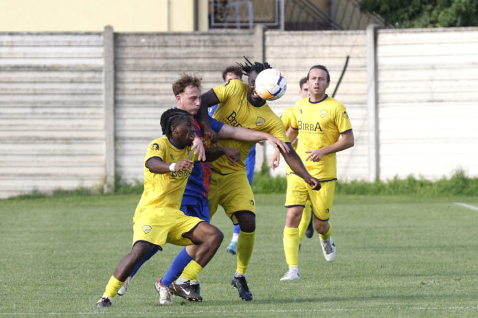 Pedrazzini_Omoregie_Ayolade_01_3876887