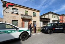 Controlli congiunti a Suzzara: 42 veicoli fermati e quattro sanzioni