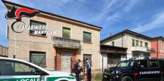 Controlli congiunti a Suzzara: 42 veicoli fermati e quattro sanzioni