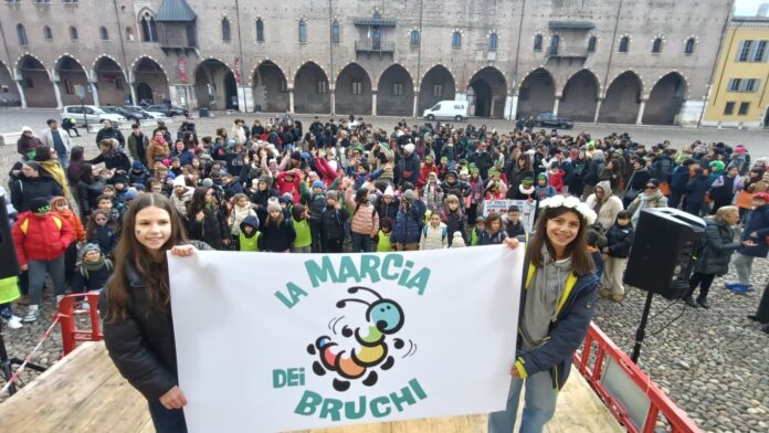 WhatsApp Image 2026-02-20 at 09.58.30_3880415