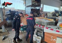 Carabinieri Forestali sequestrano una discarica abusiva all’interno di un capannone