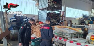 Carabinieri Forestali sequestrano una discarica abusiva all’interno di un capannone