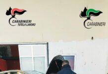 Due lavoratori in nero e sicurezza assente: 28mila euro di sanzioni a un’azienda di auto