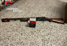 Ammazza il cane del vicino, reo di insidiare i suoi porcellini d’India: 59enne denunciato dai carabinieri