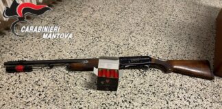 Ammazza il cane del vicino, reo di insidiare i suoi porcellini d’India: 59enne denunciato dai carabinieri