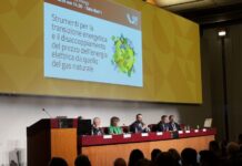 GSE, Vigilante “Contratti a lungo termine strumento contro volatilità dei prezzi”