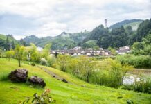 Cina, obiettivo accelerare sullo sviluppo sostenibile nel prossimo quinquennio