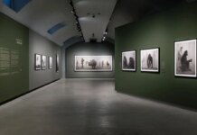 Alle Gallerie d’Italia di Torino la mostra “Nick Brandt”