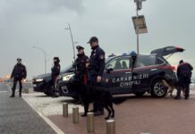 Maxi operazione contro illegalità e degrado a Ostia, 17 arresti e 42 denunce