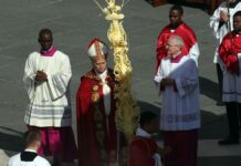 Domenica delle Palme, Papa “Deponete le armi! Siete fratelli!”
