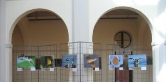 Ecomuseo Oglio-Chiese, 35 anni di storia da raccontare