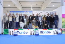 Gonzaga: a un bellissimo samoiedo il Best in Show dell’Expo canina alla Millenaria