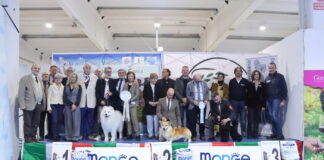Gonzaga: a un bellissimo samoiedo il Best in Show dell’Expo canina alla Millenaria