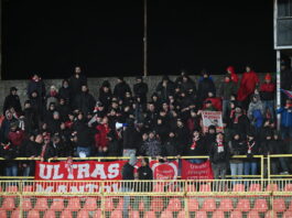 Calcio Serie B: Trasferta amara per il Mantova a Palermo. I biancorossi si risvegliano troppo tardi (2-1)