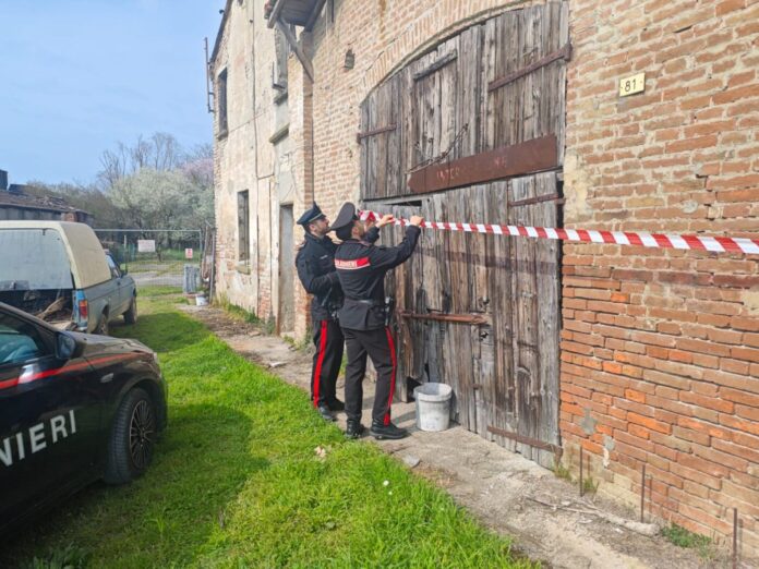 I Carabinieri di Sustinenete denunciano 2 persone per reati ambientali_3909171