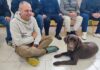 Castiglione: labrador in azione, la pet therapy alle Rems