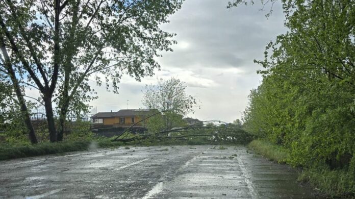 WhatsApp-Image-2025-04-17-at-14.35.51-e1744899902397