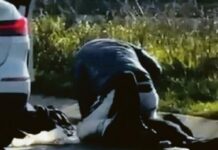 Accoltellò la ex per strada, PROBATORIO disposte tre perizie psichiatriche