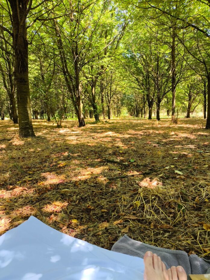 eedb6483-654a-4663-aa57-1a2c4606eaf8_3892137