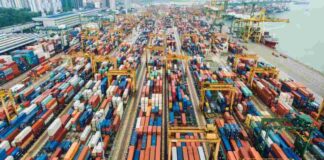 Import-export. Mantova al Top: saldo commerciale miliardario