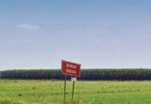 I maestri della fotografia raccontano Mantova