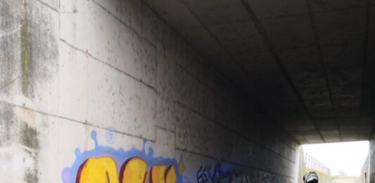 Graffitaro sorpreso e denunciato dalla Polizia locale mentre completa una sua “opera”