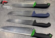 Notte di controlli per i Carabinieri: denunce per armi, documenti falsi e oltraggio