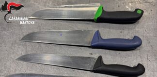 Notte di controlli per i Carabinieri: denunce per armi, documenti falsi e oltraggio